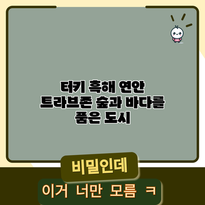 터키 흑해 연안 트라브존 숲과 바다를 품은 도시