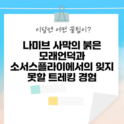 나미브 사막의 붉은 모래언덕과 소서스플라이에서의 잊지 못할 트레킹 경험
