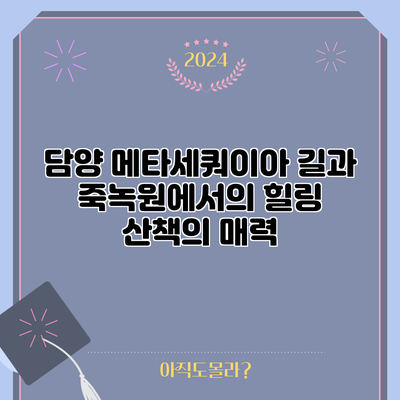 담양 메타세쿼이아 길과 죽녹원에서의 힐링 산책의 매력